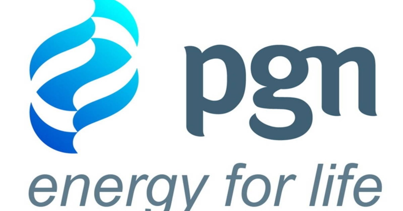 Perusahaan Gas Negara